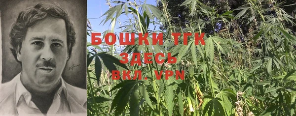 гашик Абаза