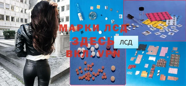 сатива Переславль-Залесский