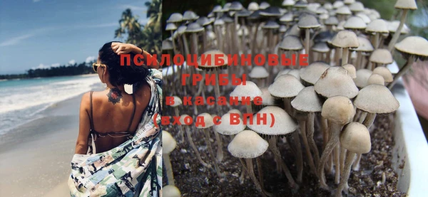 эйфоретик Пересвет